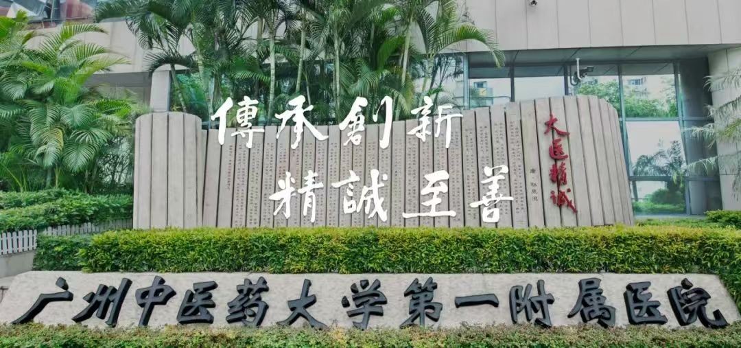 央媒时代报视TOP重磅发布：《名医访谈录》——孙晓生：医道履声向精诚