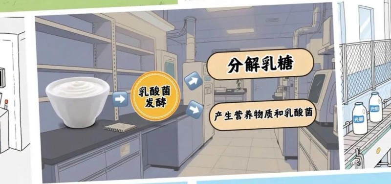 高温下如何正确喝牛奶？跟着光明乳业来了解
