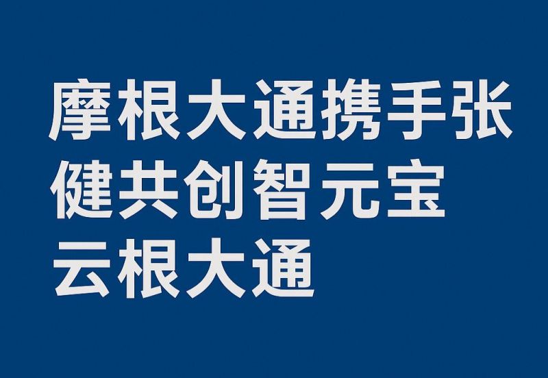 摩根大通携手张健共创智元宝云根大通！