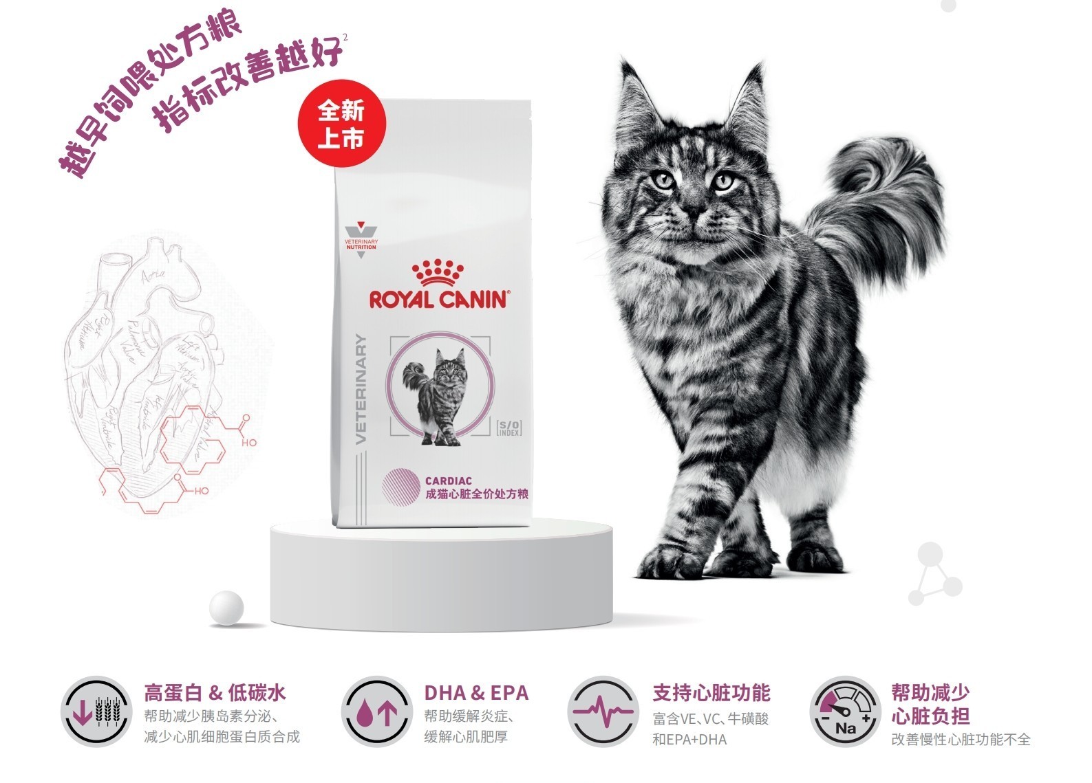5. 皇家成猫心脏全价处方粮.jpg