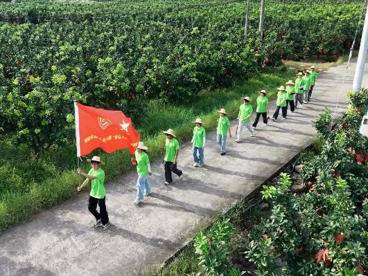 福建农林大学大学生培训班实践队深耕平和乡村振兴一线
